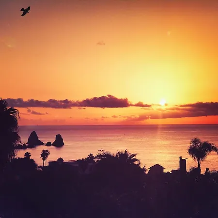 House Of Palms