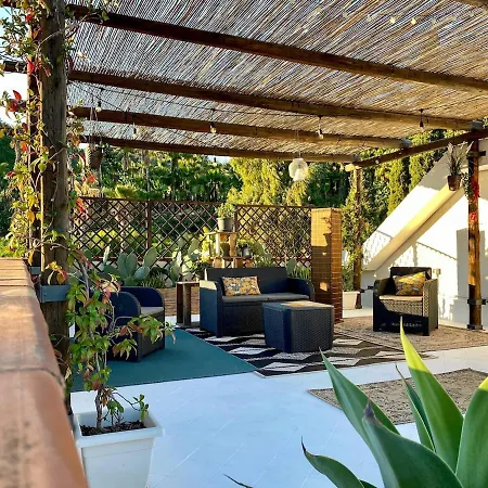 House Of Palms *