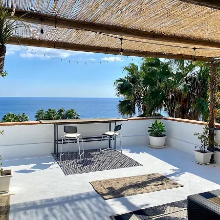 House Of Palms