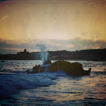 House Of Palms * Aci Castello